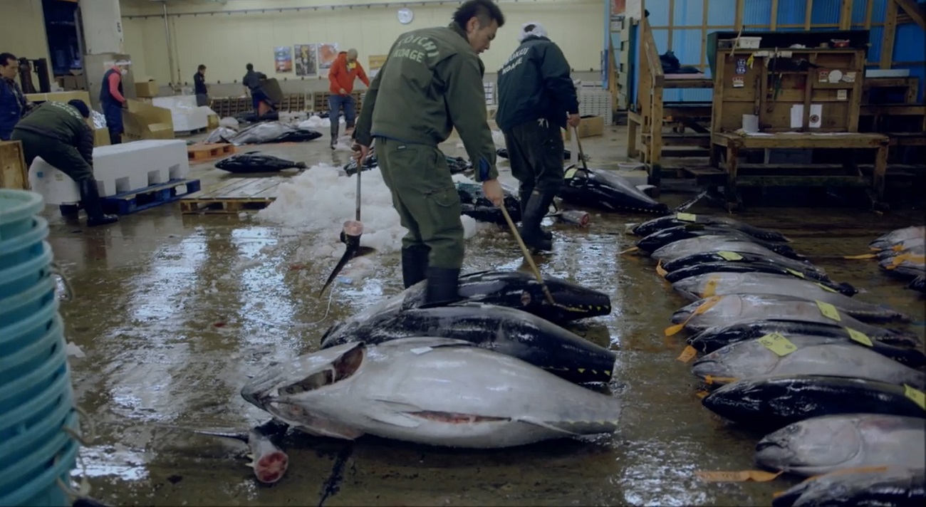 Tsukiji Wonderland