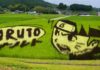 Point commun entre Godzilla, Naruto et R2D2 ? les champs de riz d’Inakadate !