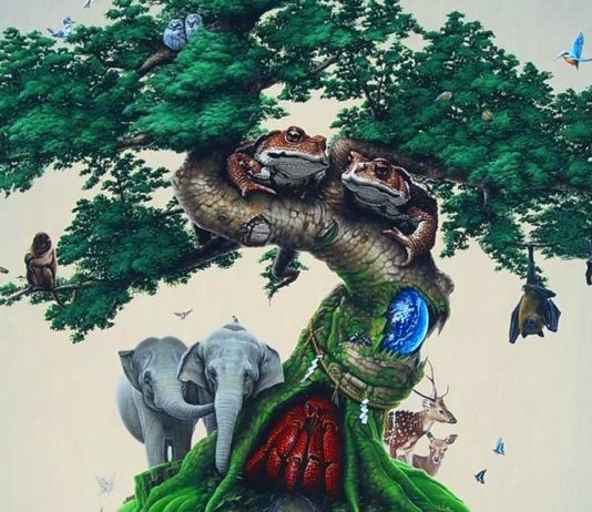 Les bonsaïs animaliers et surréalistes de Takumi Kama