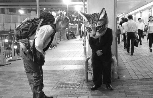 Des japonais portent des têtes de chats géantes, et ce n’est pas ce que vous croyez !