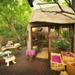 La plus grande cabane du Japon est construite dans cet arbre tricentenaire