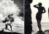 Rares photos en immersion avec les Sirènes Japonaises