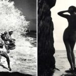 Rares photos en immersion avec les Sirènes Japonaises
