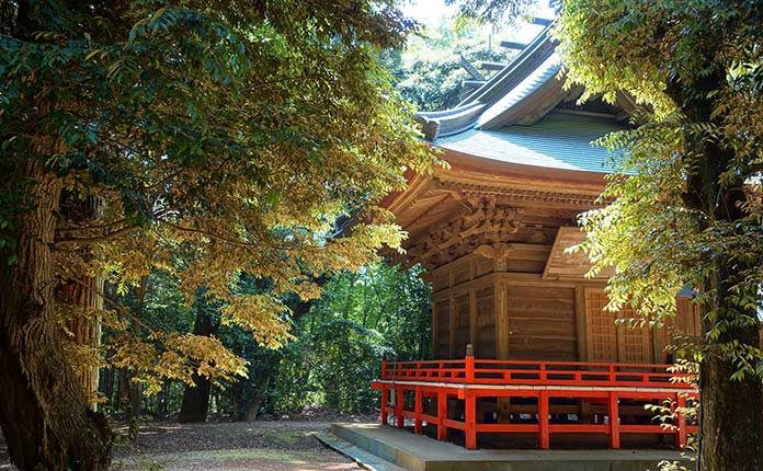 02_japan_forest