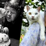 L’adorable amitié entre une grand-mère japonaise et son chat photographiée
