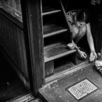 pigeon-feeding-tokyo2500