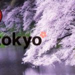 Top 10 des lieux pour admirer les cerisiers en fleurs à Tokyo