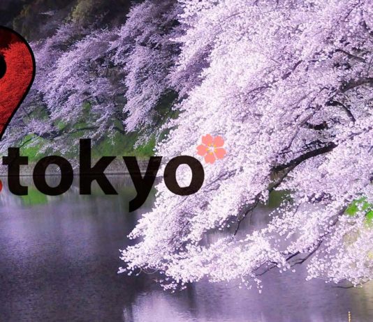 Top 10 des lieux pour admirer les cerisiers en fleurs à Tokyo