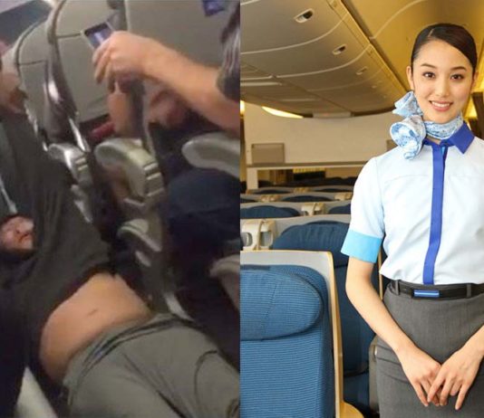 Des violences en avion ? Impensable au Japon !
