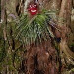 charles_freger_yokainoshima (6)