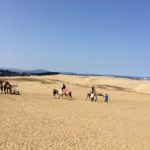 26110828465_60cc163013_o