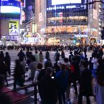 33838202385_24eb36e9ab_o