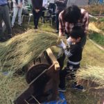 12188957_1216325558384210_8513179802323194261_n