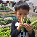 12963438_1319876711362427_5564569574542824104_n