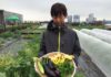 La curieuse agriculture urbaine sur les toits de Tokyo