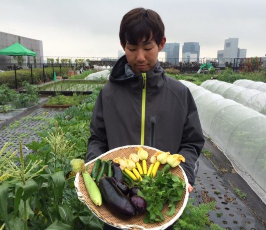La curieuse agriculture urbaine sur les toits de Tokyo
