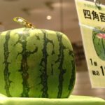 179056556_9f68cb432f_o