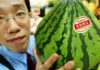 2000€ la pastèque ? Les dessous du business des fruits de luxe au Japon