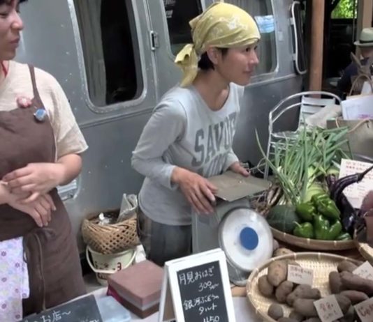 Fujino : ville japonaise modèle de la transition écologique