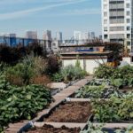 static1.squarespace.com