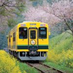 Un train Moomin pour découvrir la beauté du Japon rural