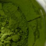 4421829068_29fbe52efb_o