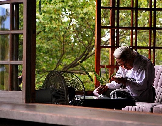 Les raisons derrière l’extraordinaire longévité japonaise