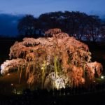 14017558977_6beb6c59af_o