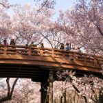 14115944613_fd47de3d14_o