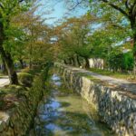 26211181659_b12f4d6ed9_o