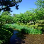 27521492061_d2cb31b7ff_o