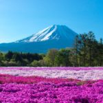 33404292413_a87679d234_o