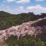 34087653035_1e3ecfcf17_o