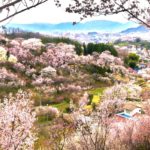 8669558802_e425e1a951_o