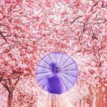 Quand une photographe russe visite le Japon et en capture toute la magie