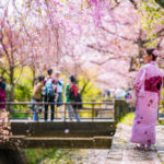 Japon : les destinations à visiter absolument au printemps !