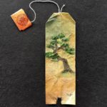 13385600_1093970094003540_1