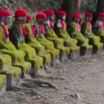 14158042834_0877d4cdca_o