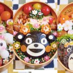 50 nuances de bentô japonais !