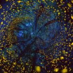 21149775_167929920431928_59