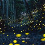 21224697_1918830125040783_2