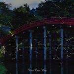 21294700_169334400290764_79