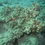 5113752763_38a026caa1_o