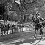 kakeuma-_42010875981_o