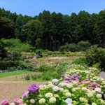 27656783920_9bba3e3f25_o