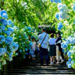 28656189528_ba117f2bf2_o