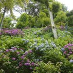 7715076598_a3f9d87f18_o