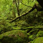 19897125400_50211e2666_o