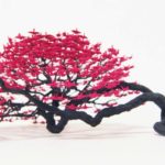 5a616a768026506220f315916c95c267_462f473e3fd30362697db9e1903eeaaa