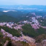 45112866521_c059552370_o